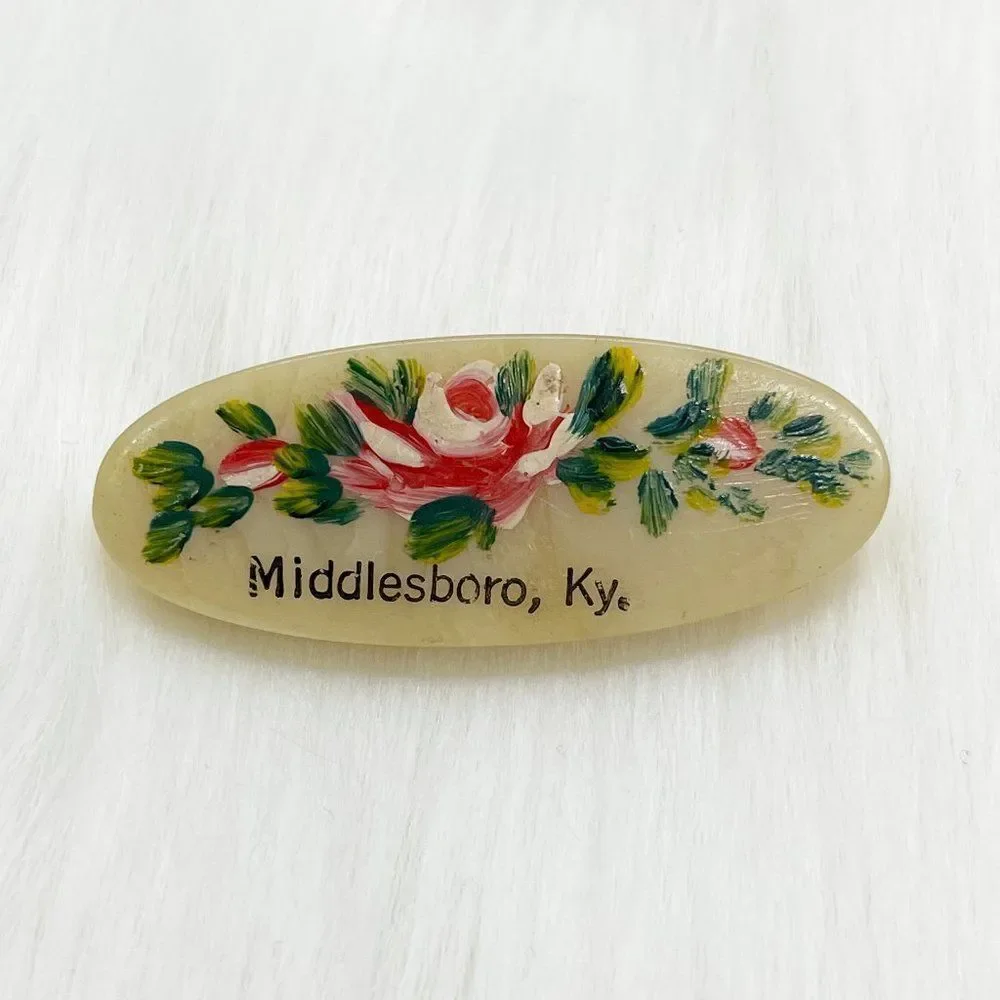 🔮 5/$25 Vintage‎ Hand Painted Flowers Middlesboro Kentucky Pin